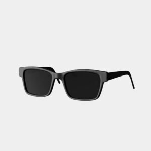 Travel Sunglass Men